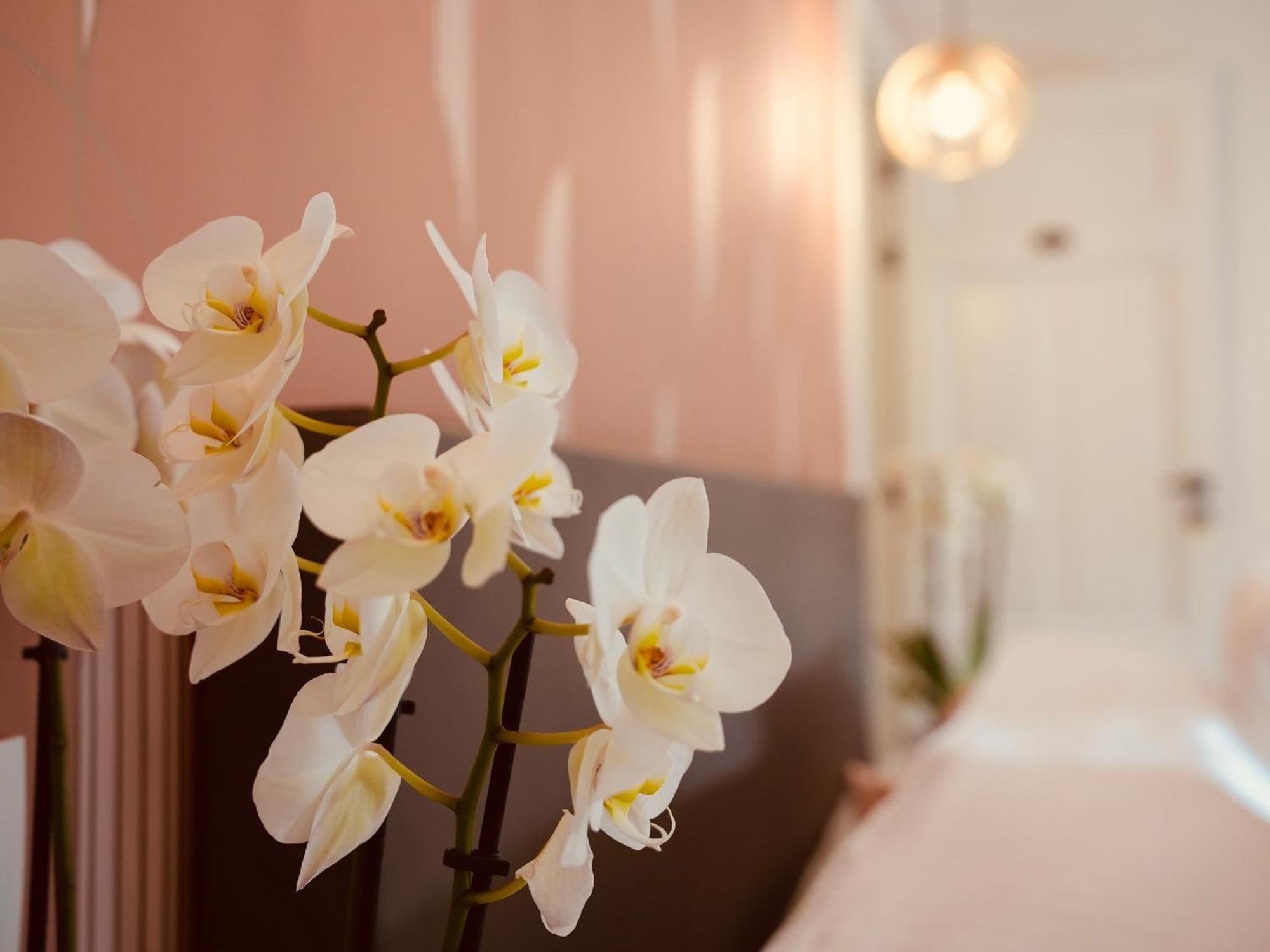 L'Amarante Chambres D'Hotes Ou Gite Citadin ティユー エクステリア 写真