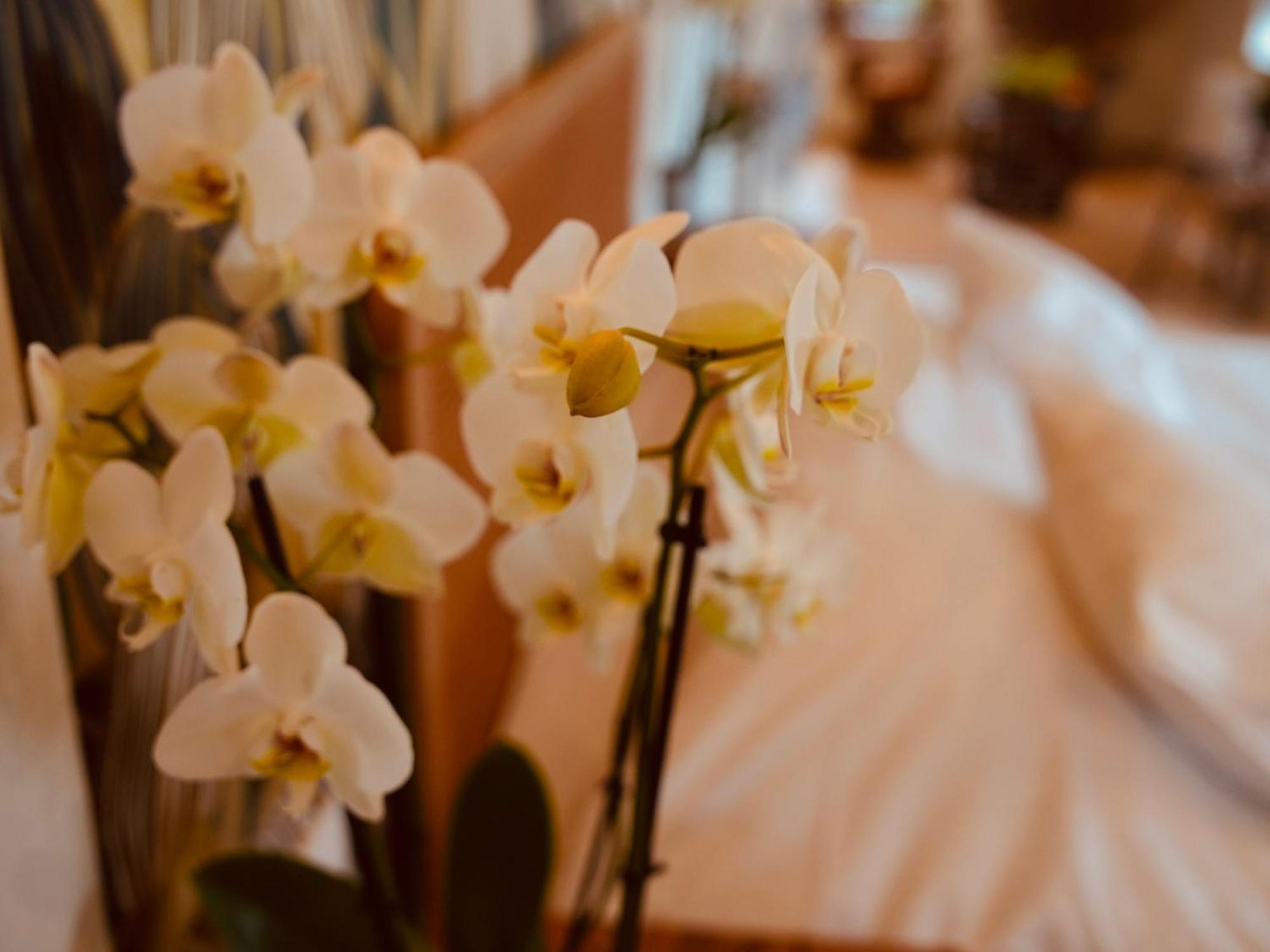 L'Amarante Chambres D'Hotes Ou Gite Citadin ティユー エクステリア 写真